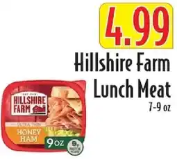 Piggly Wiggly Hillshire Farm Lunch Meat offer