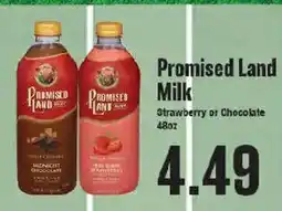 Market Basket Promised Land Milk offer
