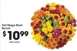 Mariano's Fall Mega Mum Bunch offer