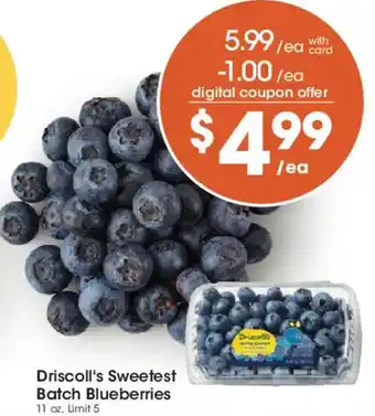Driscoll's Sweetest Batch Blueberries