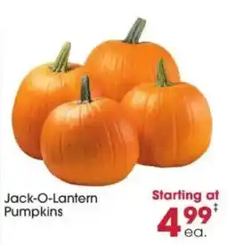 Giant Eagle Jack-O-Lantern Pumpkins offer