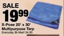 Bi-Mart X-PosE Multipurpose Tarp offer