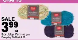 Bi-Mart Scrubby Yarn offer