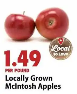 Festival Foods Locally Grown McIntosh Apples offer