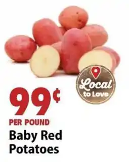 Festival Foods Baby Red Potatoes offer