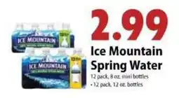 Festival Foods Ice Mountain Spring Water offer