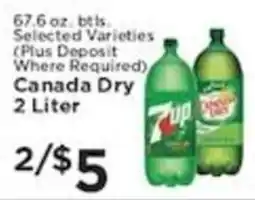 Pioneer Supermarkets Canada Dry 2 Liter offer