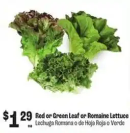 Food City Red or Green Leaf or Romaine Lettuce offer