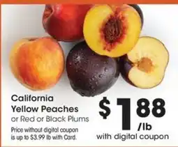 QFC California Yellow Peaches or Red or Black Plums offer