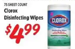 Rouses Clorox disinfecting wipes offer