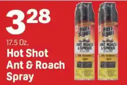 Market Basket Hot Shot Ant & Roach Spray offer
