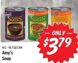 Rouses Amy's Soup offer