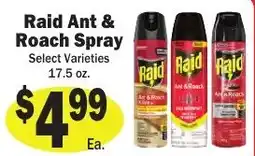 Sellers Bros Raid ant & roach spray offer