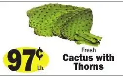 Sellers Bros Fresh Cactus with Thorns offer