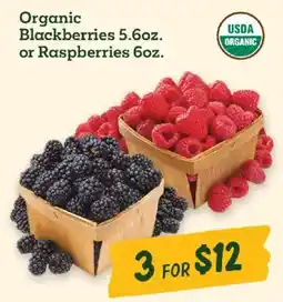 Sprouts Farmers Market Organic Blackberries or Raspberries offer