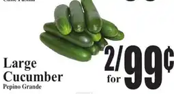 Baja Ranch Large Cucumber offer