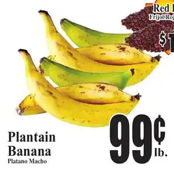 Baja Ranch Plantain Banana offer