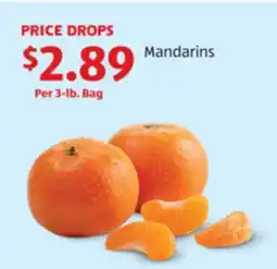 Aldi Mandarins offer