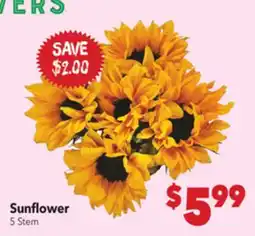 Vallarta Supermarkets Sunflower offer