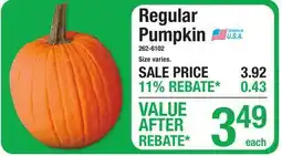 Menards Regular Pumpkin offer