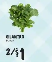 Foodarama Cilantro Bunch offer