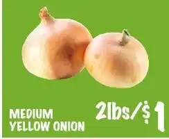 Foodarama Medium Yellow Onion offer