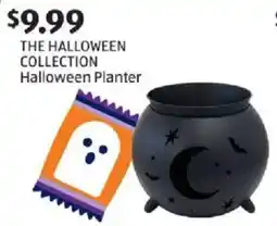 Aldi The Halloween Collection Halloween Planter offer