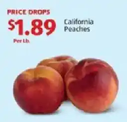 Aldi California Peaches offer