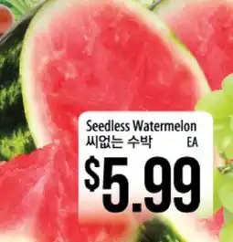 Hmart Seedless Watermelon offer