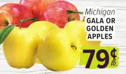 Cermak Fresh Market Michigan GALA OR GOLDEN APPLES offer