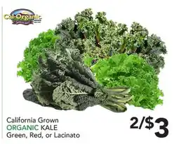 Pete's Fresh Market California Grown ORGANIC KALE offer