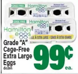 Angelo Caputo's Fresh Market Grade A Cage-Free Extra Large Eggs offer