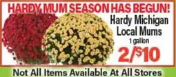 Angelo Caputo's Fresh Market Hardy Michigan Local Mums offer