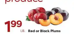 Rich's Fresh Market Red or Black Plums offer