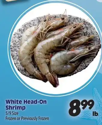 White Head-On Shrimp