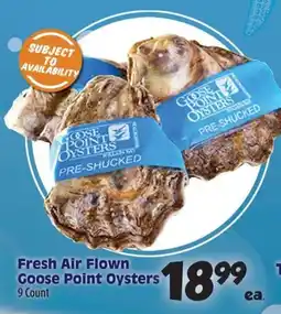 Times Supermarkets Fresh Air Flown Goose Point Oysters offer