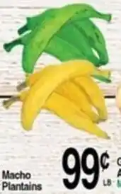 Superior Grocers Macho Plantains offer