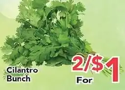 Eurofresh Market Cilantro Bunch offer