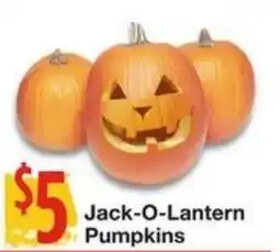 Amigos United Jack-O-Lantern Pumpkins offer