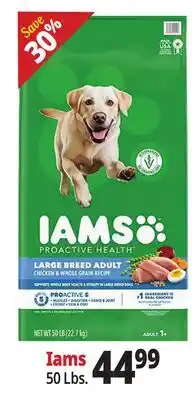 Ocean State Job Lot Iams offer