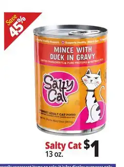 Ocean State Job Lot Salty Cat offer