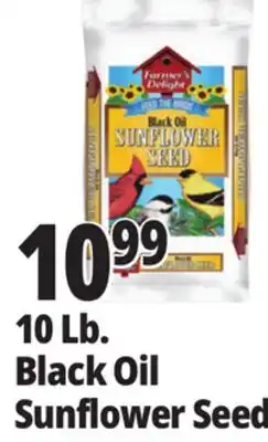 Ocean State Job Lot Farmer's Delight Black Oil Sunflower Seed 10 lbs offer