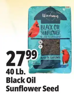 Ocean State Job Lot Black Oil Sunflower Seeds offer
