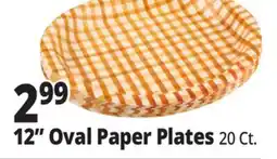Ocean State Job Lot 12 Oval Paper Plates offer