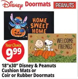 Ocean State Job Lot 18x30 Disney & Peanuts Cushion Mats or Coir or Rubber Doormats offer