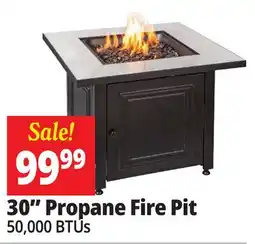 Ocean State Job Lot Endless Summer The Bristol Square 30 Outdoor Propane Fire Pit offer