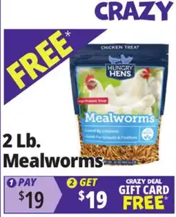 Ocean State Job Lot 2 Lb. Mealworms offer