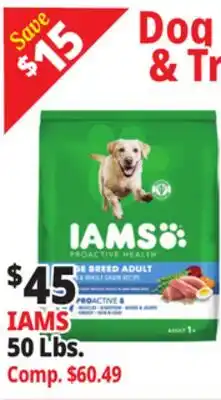 Ocean State Job Lot IAMS offer
