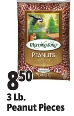 Ocean State Job Lot Audubon Peanut Pieces Bird Seed 3lb offer