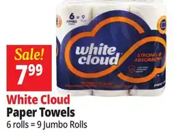 Ocean State Job Lot White Cloud Jumbo Paper Towel Rolls offer